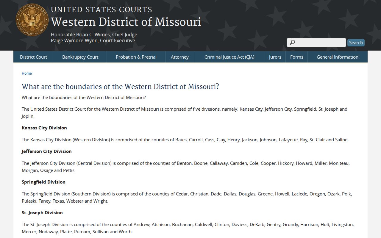 Dallas County civil docket federal court division coverage