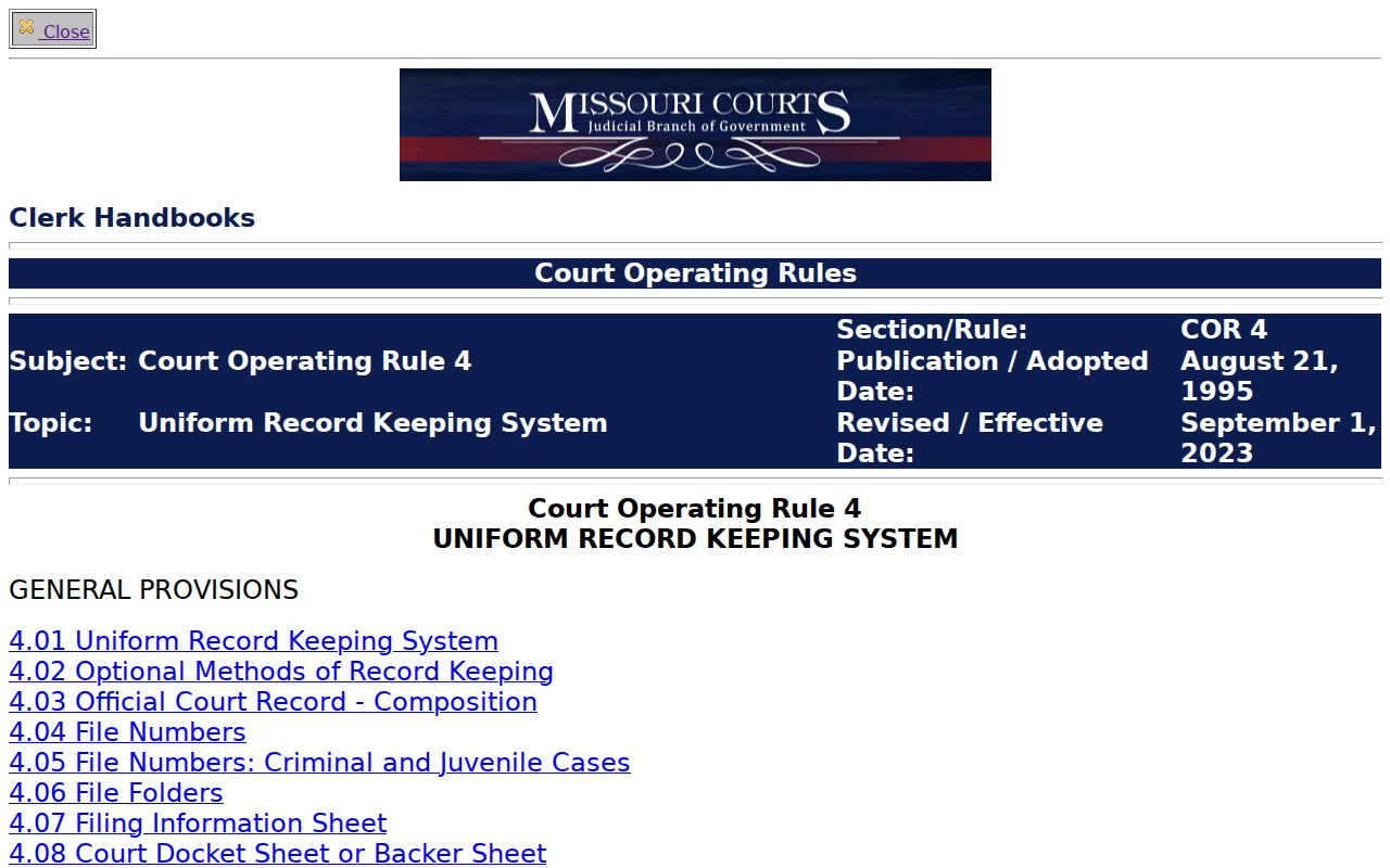 Dallas County criminal docket Court Operating Rule 4 record model