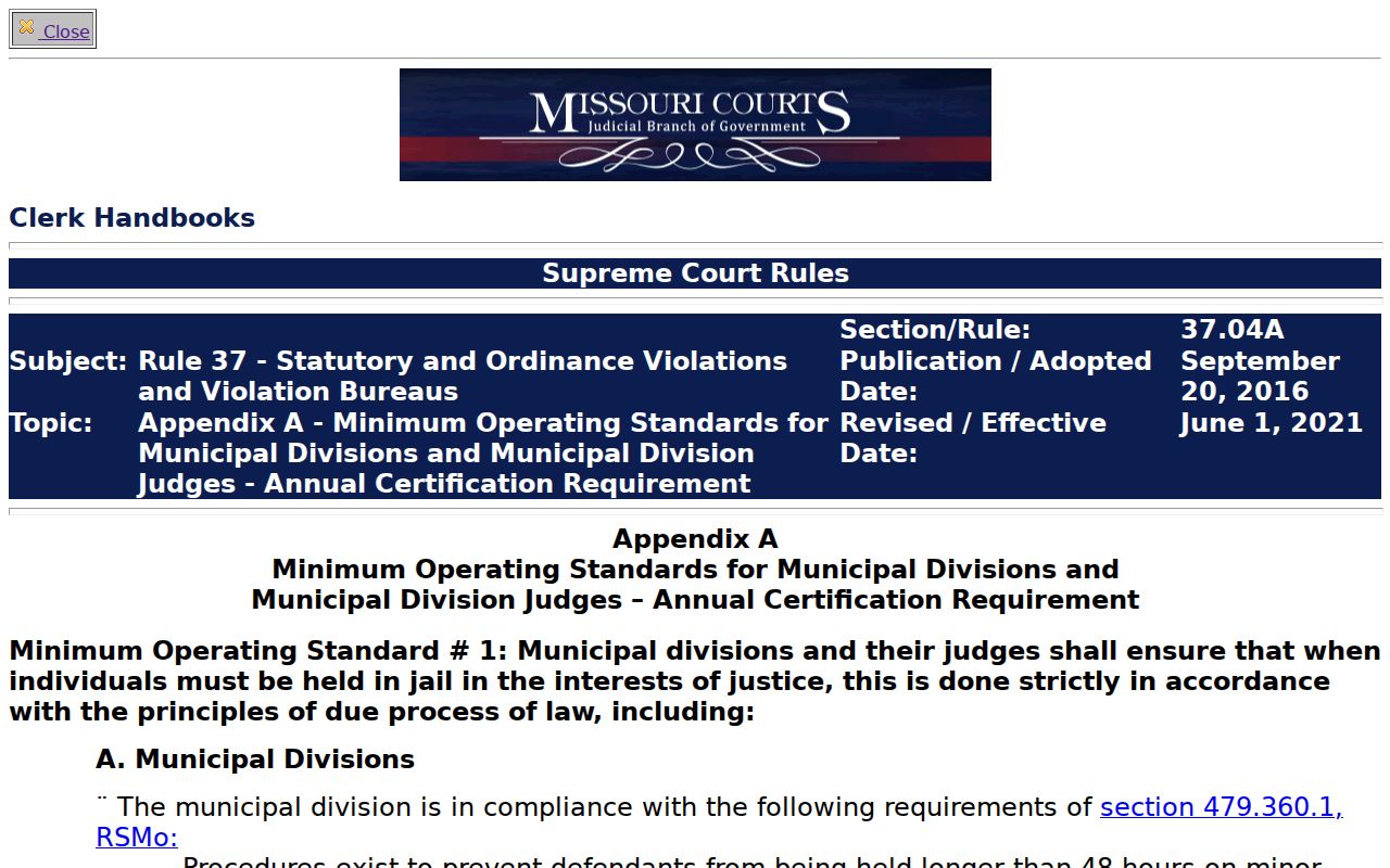 Dallas County traffic court records municipal public access standards